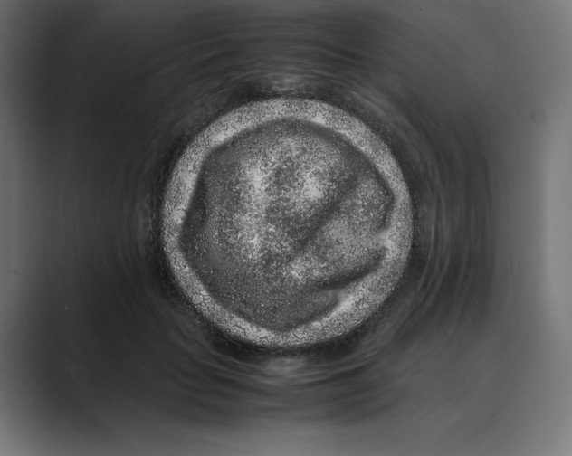 X0000088420653200706191217