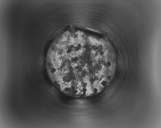 X0000088420654200706191217