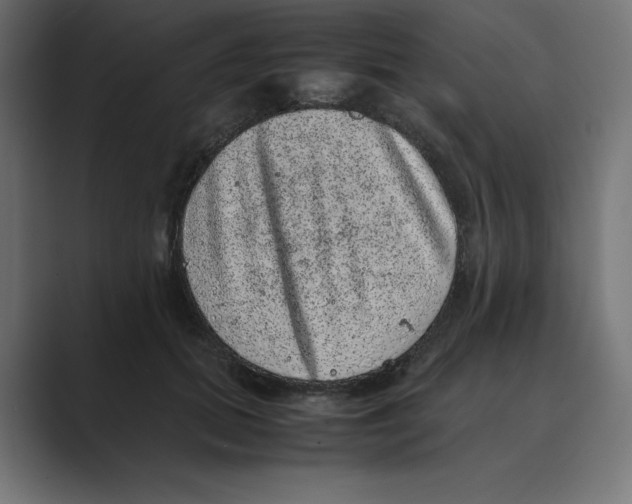 X0000088420655200706191217