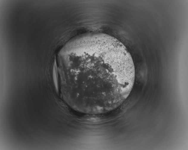X0000088420658200706191217