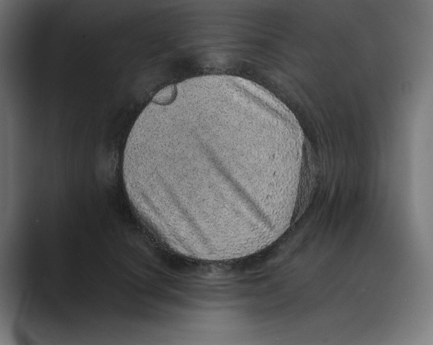 X0000088420660200706191217