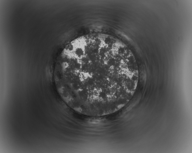 X0000088420661200706191217