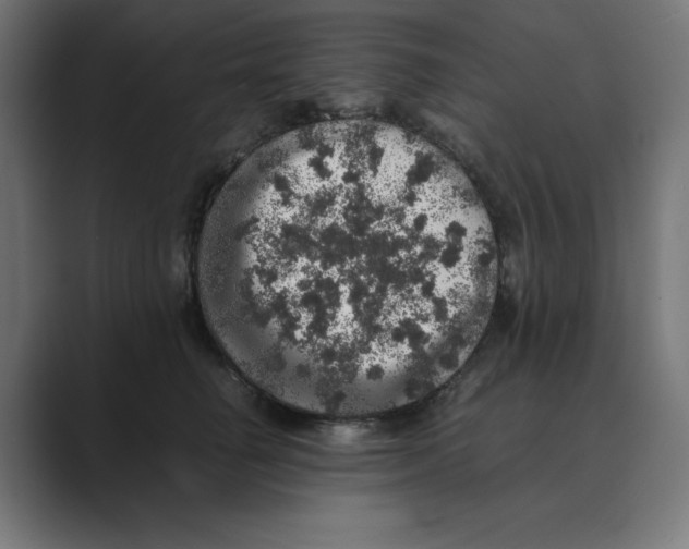 X0000088420662200706191217