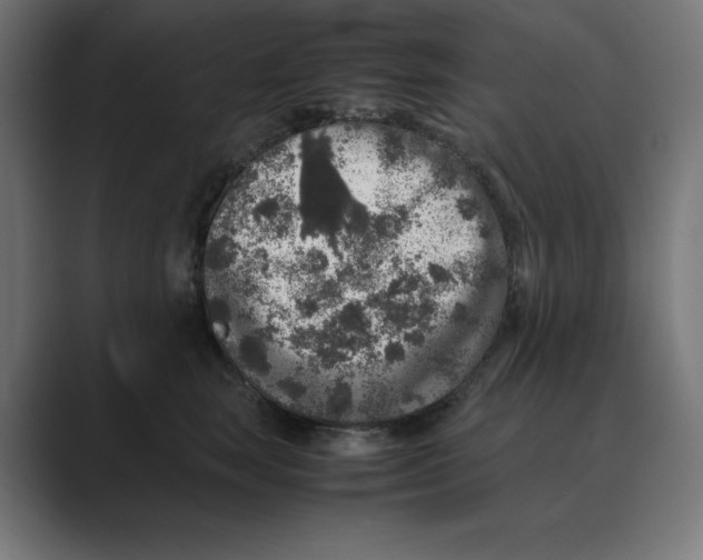 X0000088420663200706191217