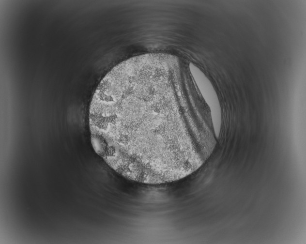 X0000088420664200706191217