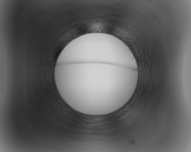 X0000088420665200706191217