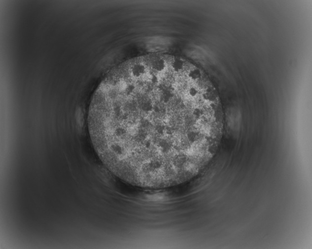 X0000088420667200706191217