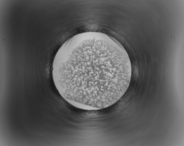 X0000088420668200706191217