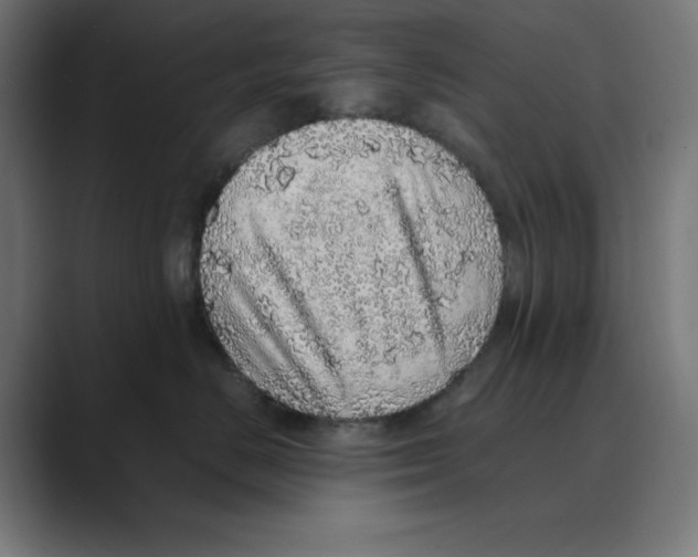 X0000088420670200706191217