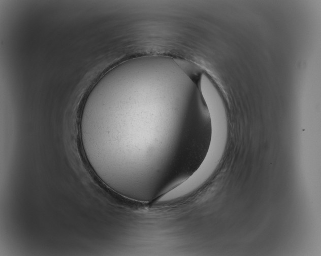 X0000088420673200706191216
