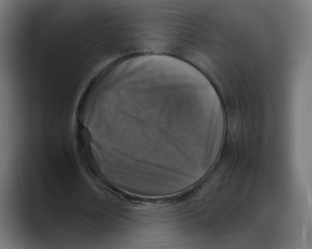 X0000088420674200706191216