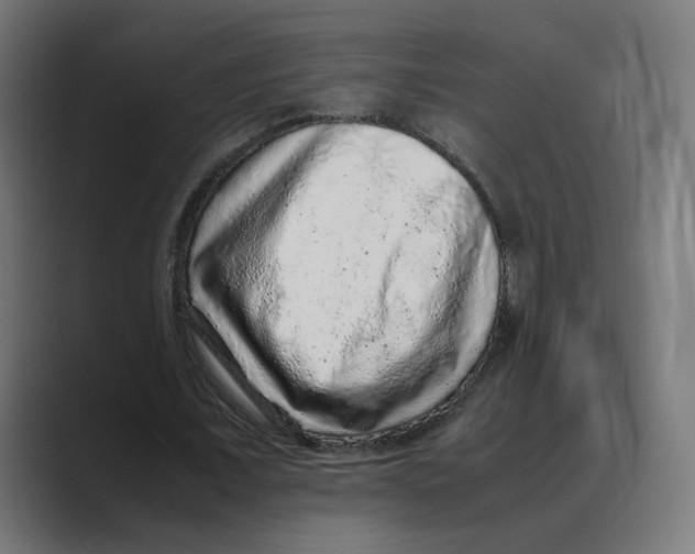 X0000088420675200706191216