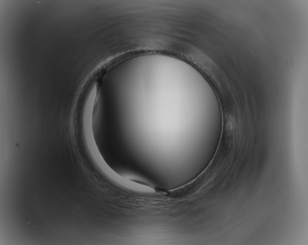 X0000088420676200706191216