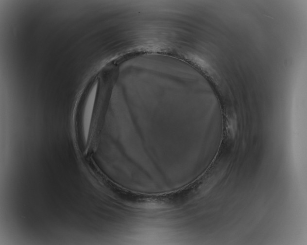 X0000088420678200706191216