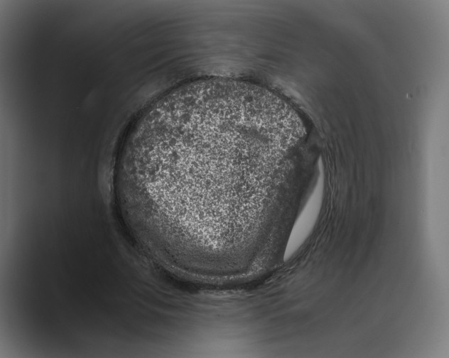 X0000088420679200706191216