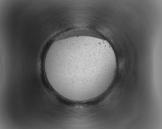 X0000088420684200706191216