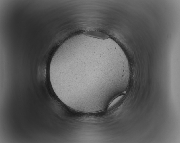 X0000088420685200706191216