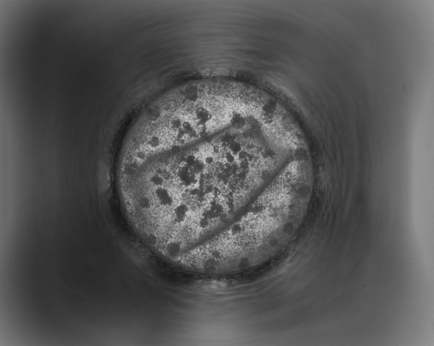 X0000088420687200706191216