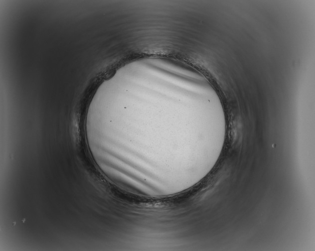 X0000088420688200706191216