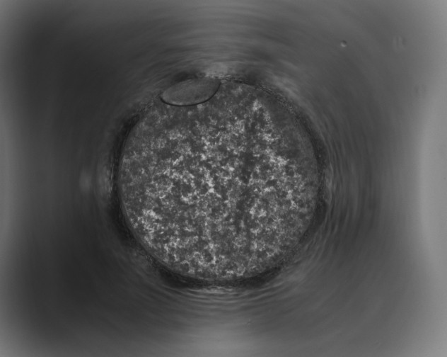 X0000088420691200706191216