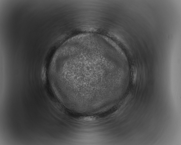 X0000088420692200706191216