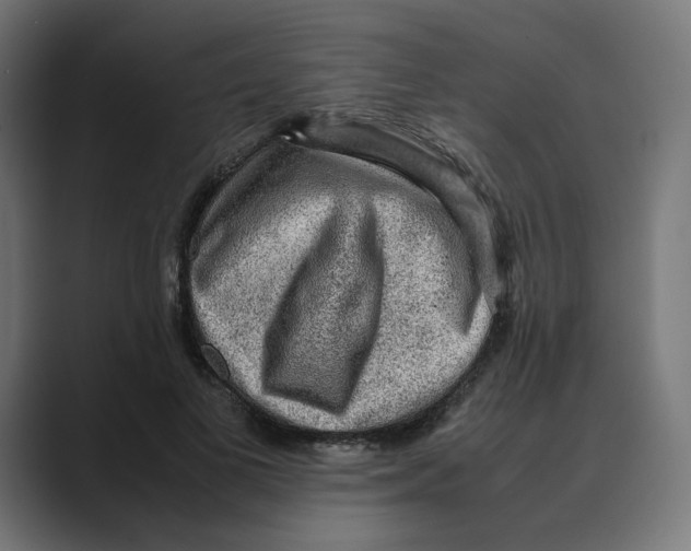 X0000088420693200706191216