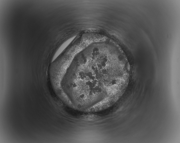 X0000088420695200706191216