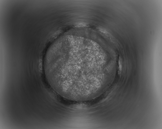 X0000088420696200706191216
