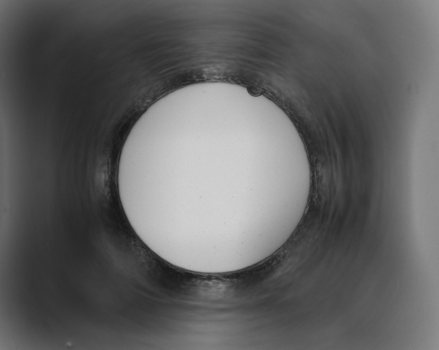 X0000088420698200706191216