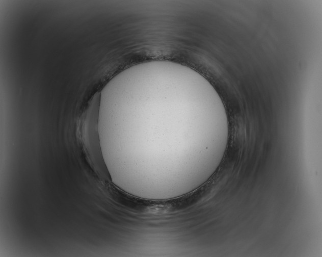 X0000088420700200706191216