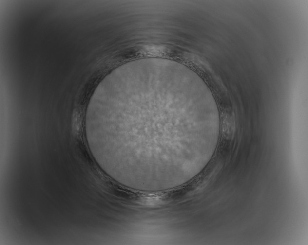 X0000088420701200706191216