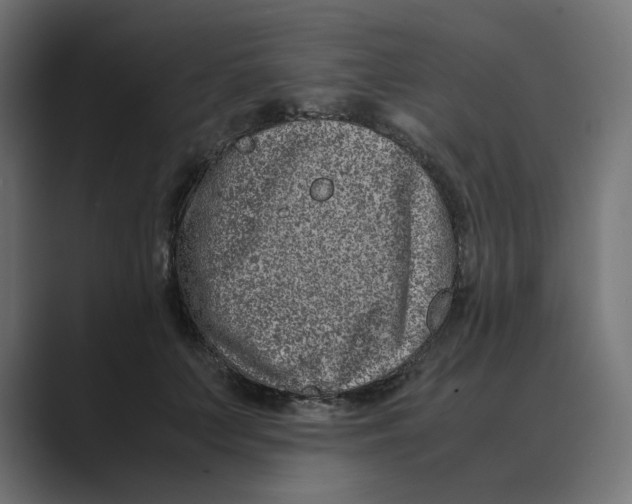 X0000088420703200706191216