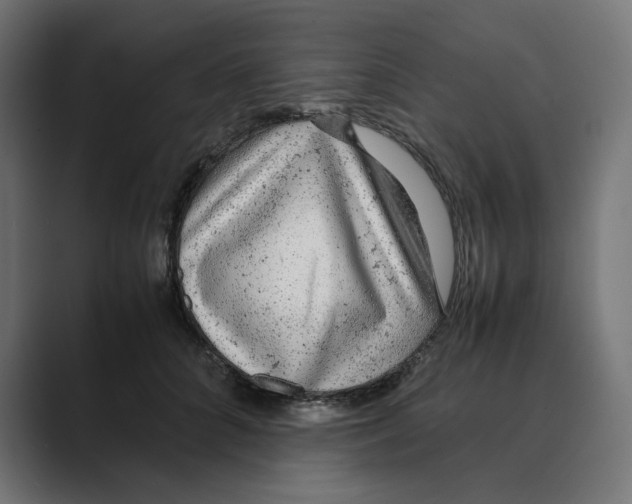 X0000088420704200706191216