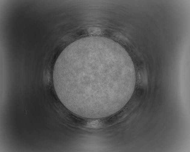 X0000088420705200706191216