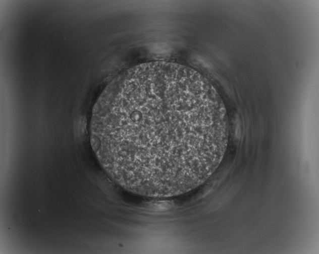 X0000088420711200706191216