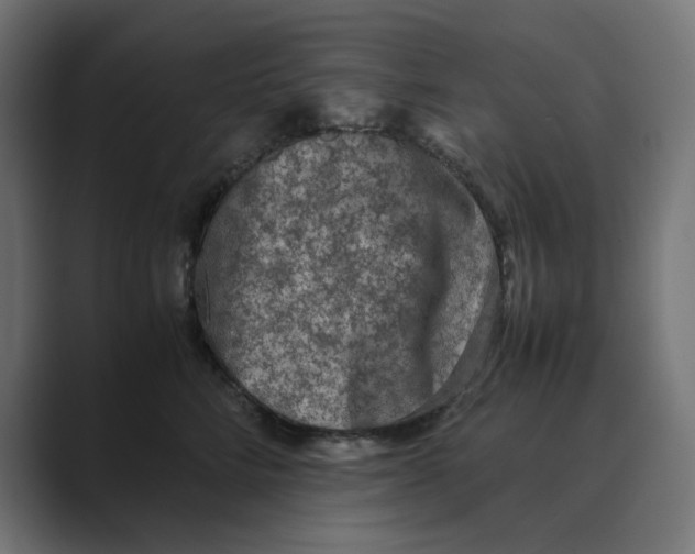 X0000088420712200706191216