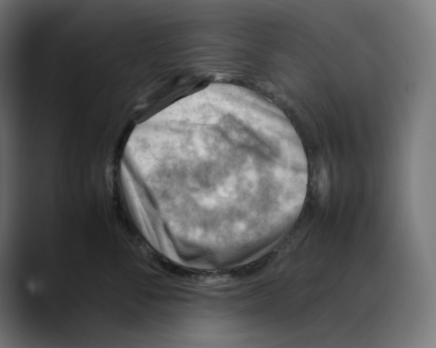 X0000088420716200706191216