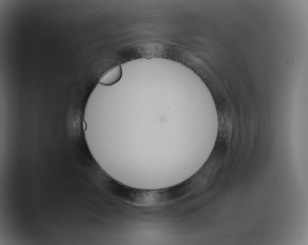 X0000088420717200706191216