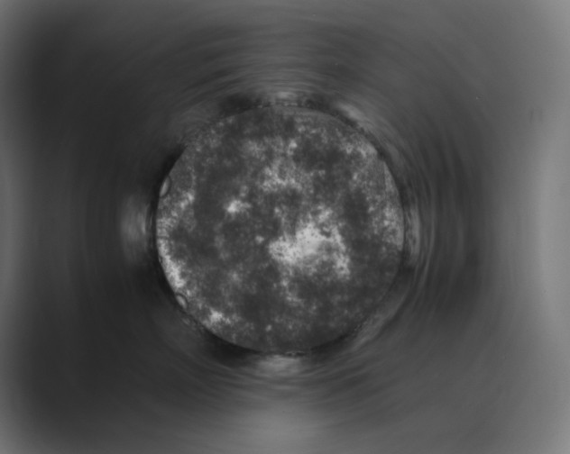 X0000088420718200706191216