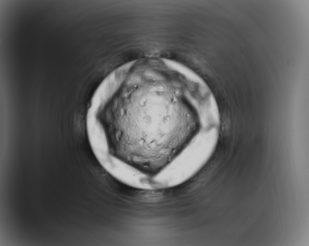 X0000088420719200706191216