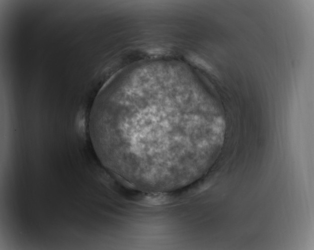 X0000088420720200706191216