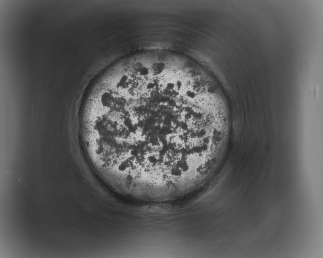 X0000088420721200706191215