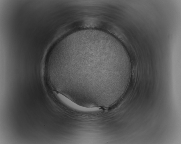 X0000088420722200706191215