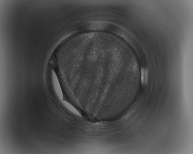 X0000088420723200706191215