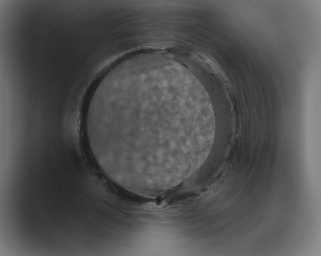 X0000088420724200706191215