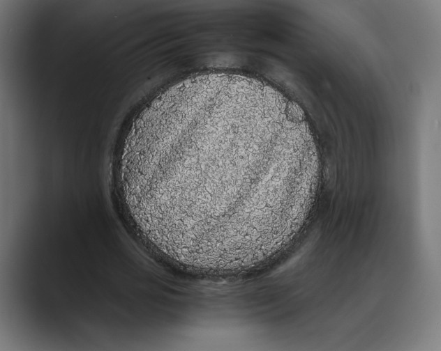 X0000088420725200706191215