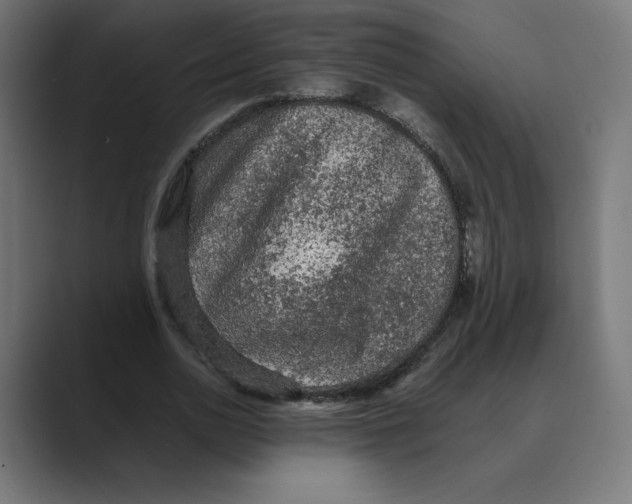 X0000088420726200706191215