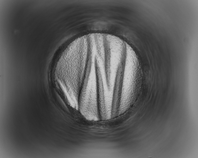 X0000088420727200706191215
