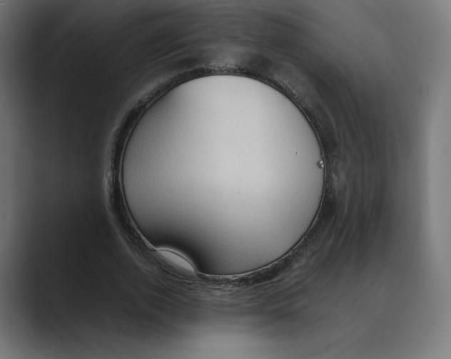 X0000088420728200706191215
