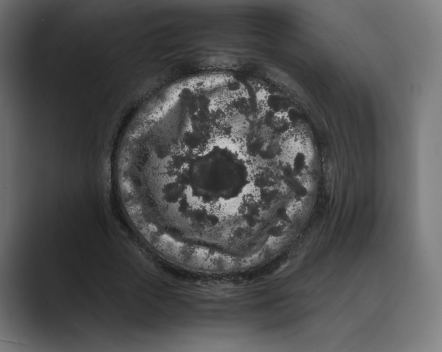 X0000088420729200706191215